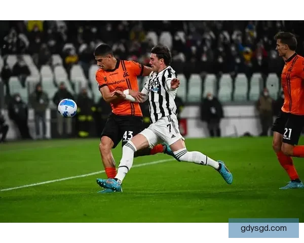 厄瓜多尔迎战法国强敌南美黑马对决欧洲豪门看点解析赛前前瞻与战术博弈